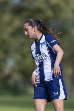 Bild 496 - wBJ Hamburger SV - Hertha BSC : Ergebnis: 5:2
